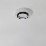 Lighting Ceiling Lights Flush Mount Lighting_4Hla9