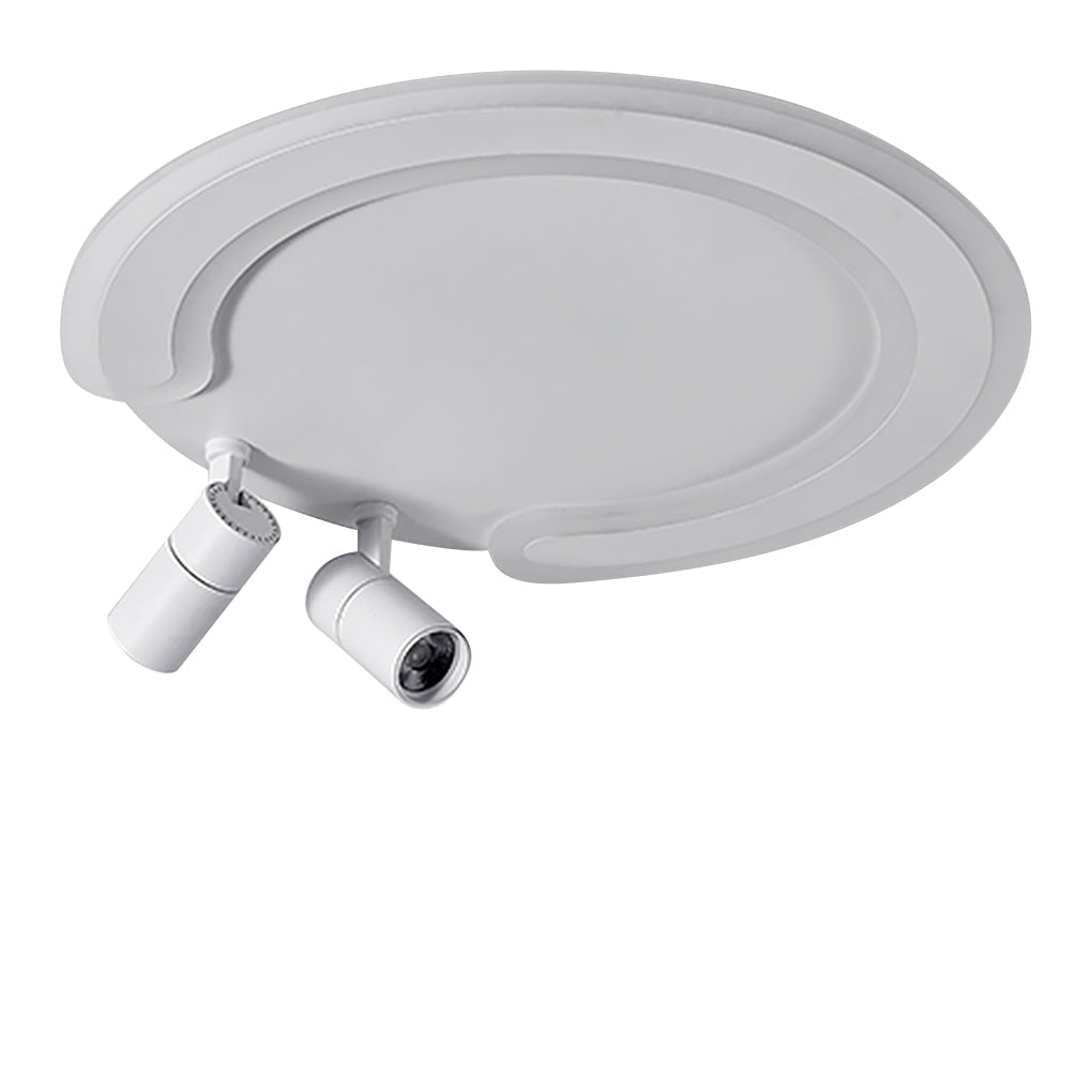 Lighting Ceiling Lights Flush Mount Lighting_Tli00248