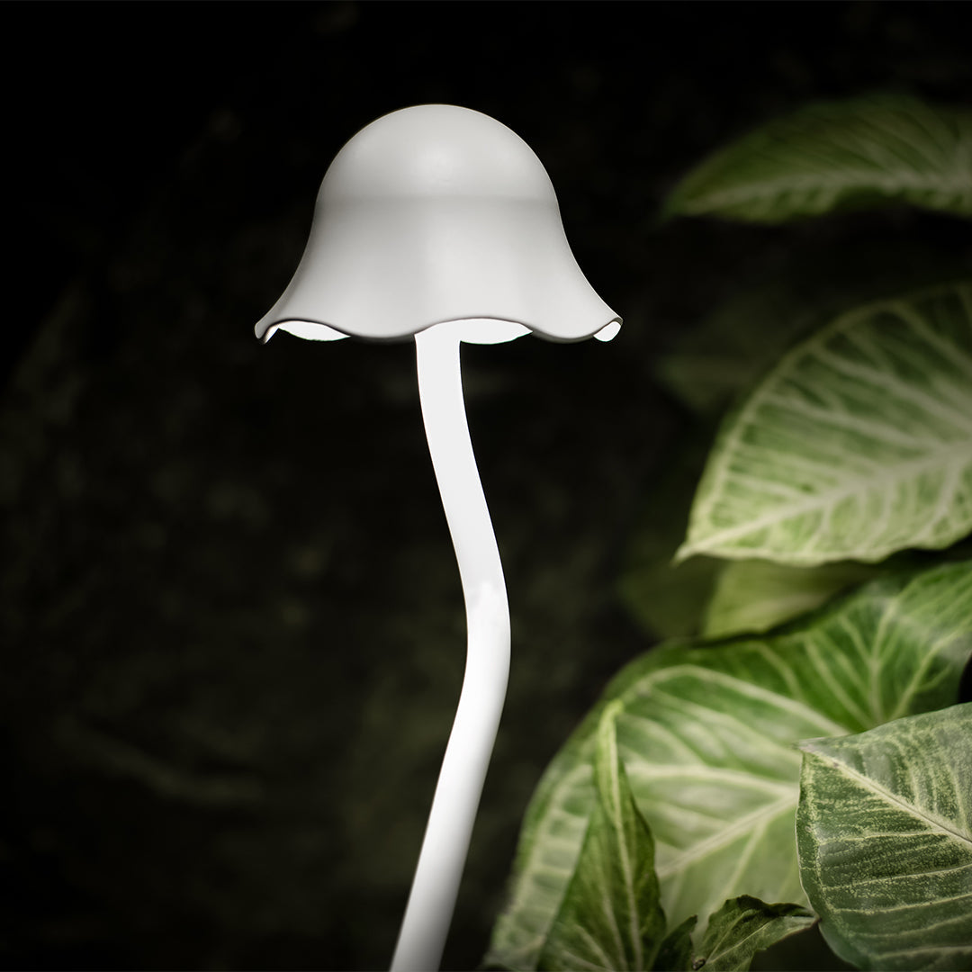 Modern LED Pathway Lights for Outdoor Landscapes, IP65 Waterproof Aluminum