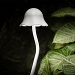 Modern LED Pathway Lights for Outdoor Landscapes, IP65 Waterproof Aluminum