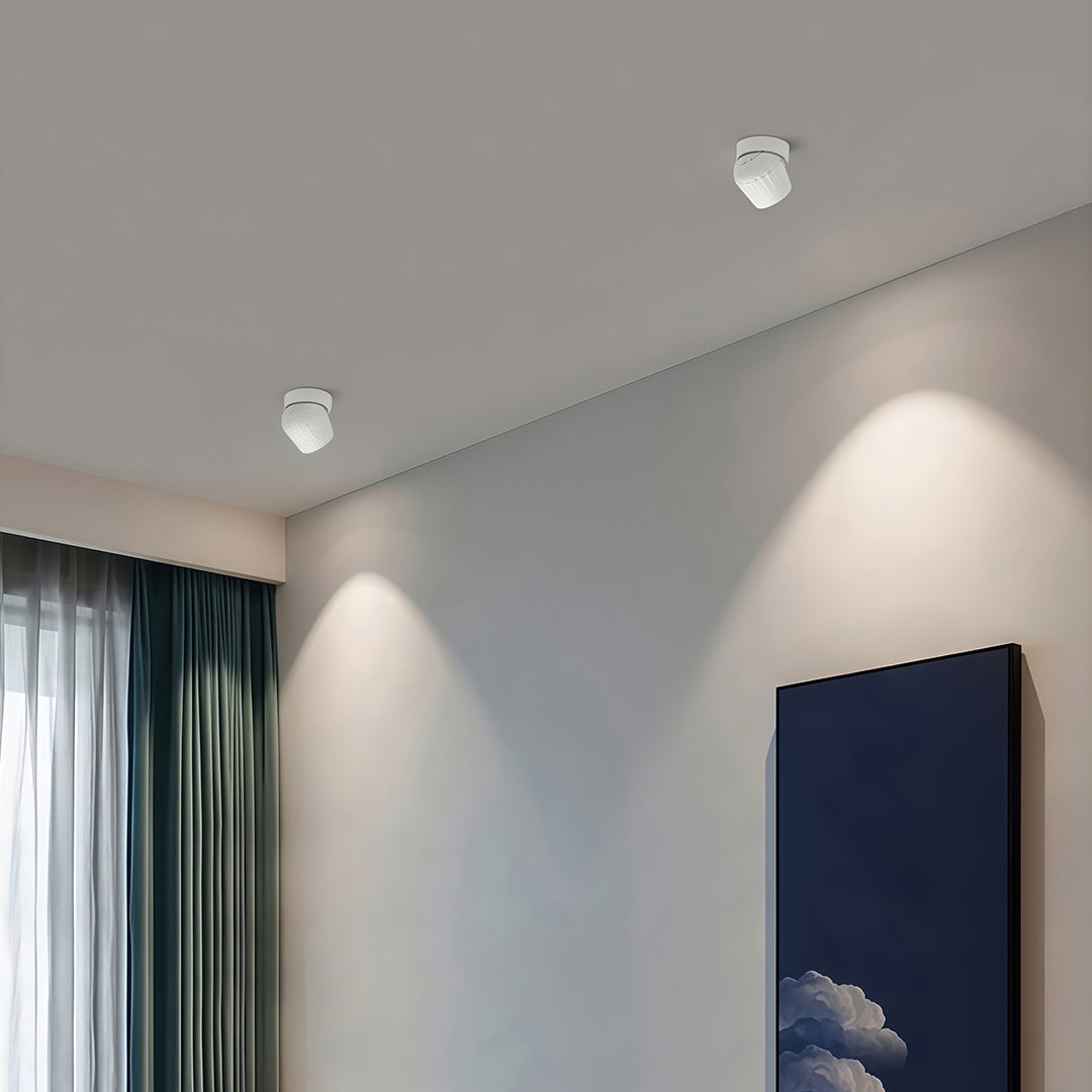 Rotating LED Spotlight with Anti-Glare COB, Surface Mount Aluminum