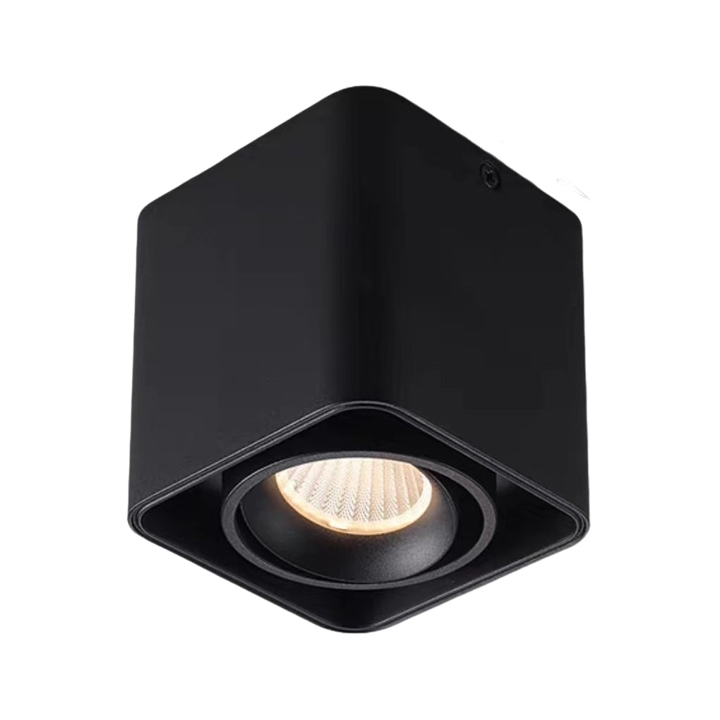 Modern Surface Mounted LED Spot Light with Adjustable Heads for Ceilings