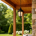 Black Aluminum Outdoor Pendant Light with Clear Glass Shade