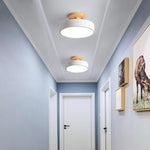 Lighting Ceiling Lights Flush Mount Lighting_4Sfn2