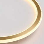 Lumina Circle LED Flush Mount Ceiling Light in Brushed Brass