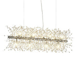 Lighting Ceiling Lights Chandeliers_3Yr5A