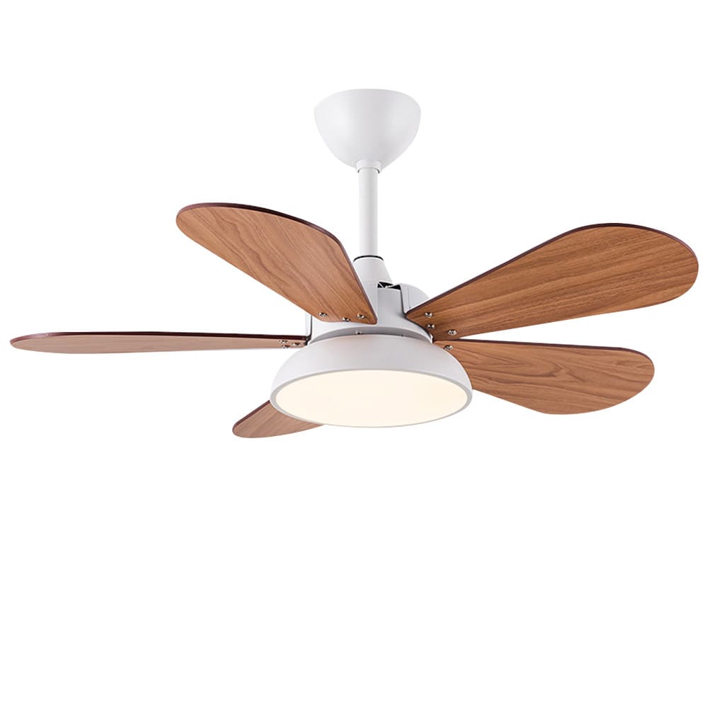 Creative Aircraft Shaped 6 Gear Frequency Conversion Led Ceiling Fan With Light 1