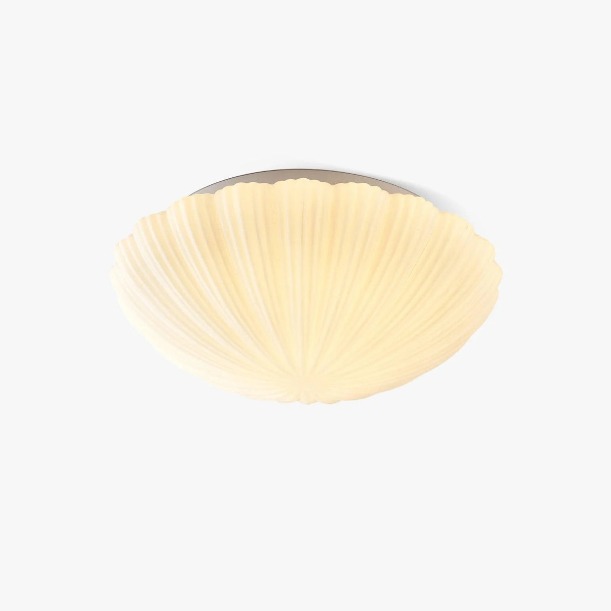 Aurora Shell Ceiling Light