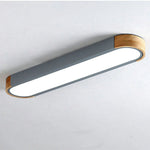 Modern Zenith Ceiling Light