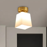 American Style Led Minimalist Modern Entry Ceiling Light