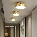 Axiom Rotating Ceiling Light