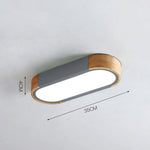 Modern Zenith Ceiling Light