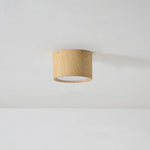 Macaroon Style Led Ceiling Light