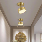 Axiom Rotating Ceiling Light