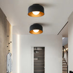 Terraglow Ceiling Light