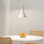 Vivid Cone Modern Pendant Light