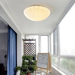 Aurora Shell Ceiling Light