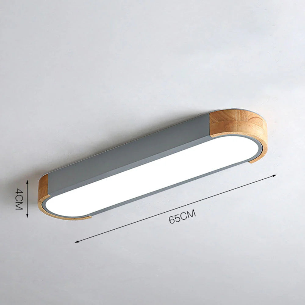 Modern Zenith Ceiling Light
