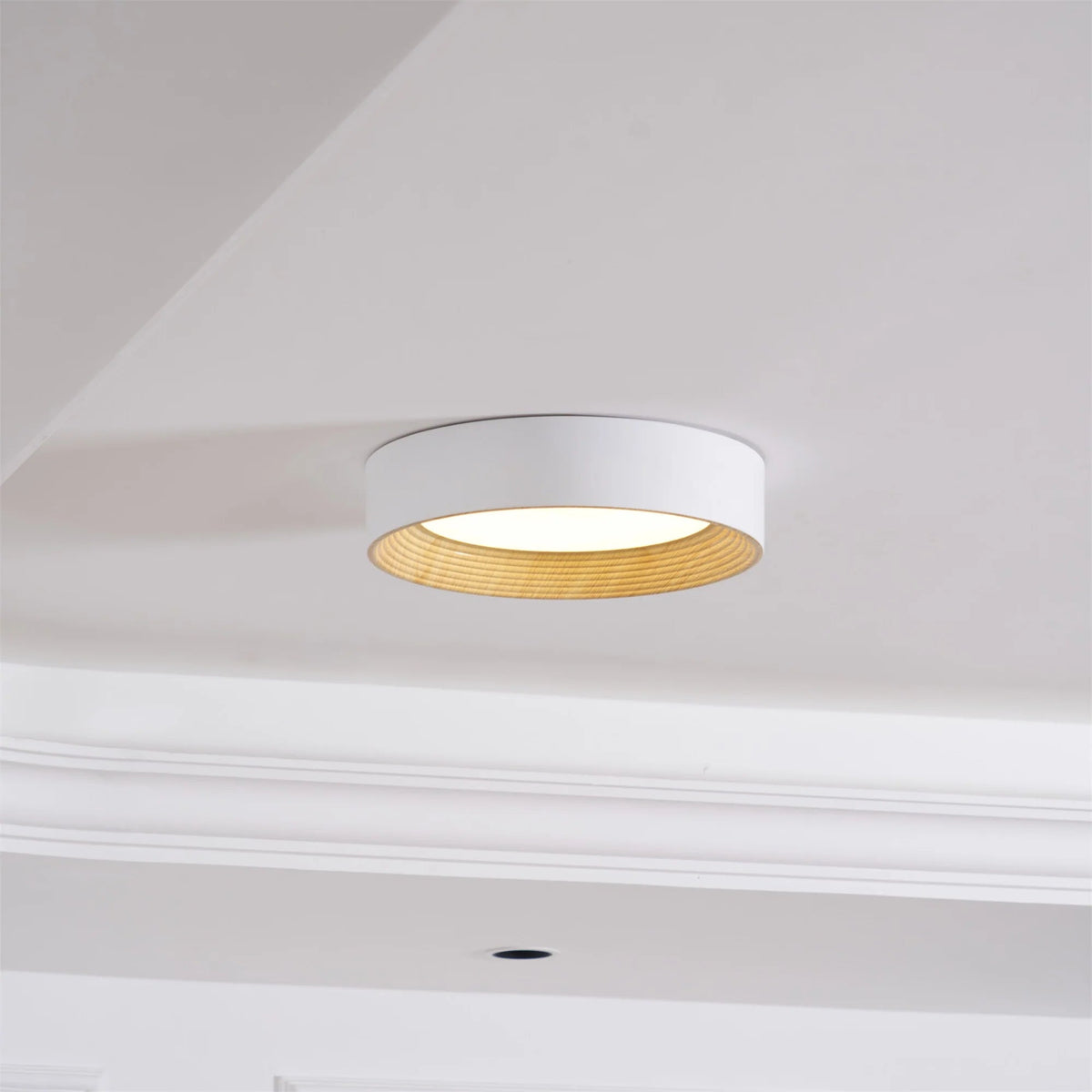 Calen Minimalist Ceiling Lamp