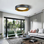 Lumen Arc Ceiling Lamp