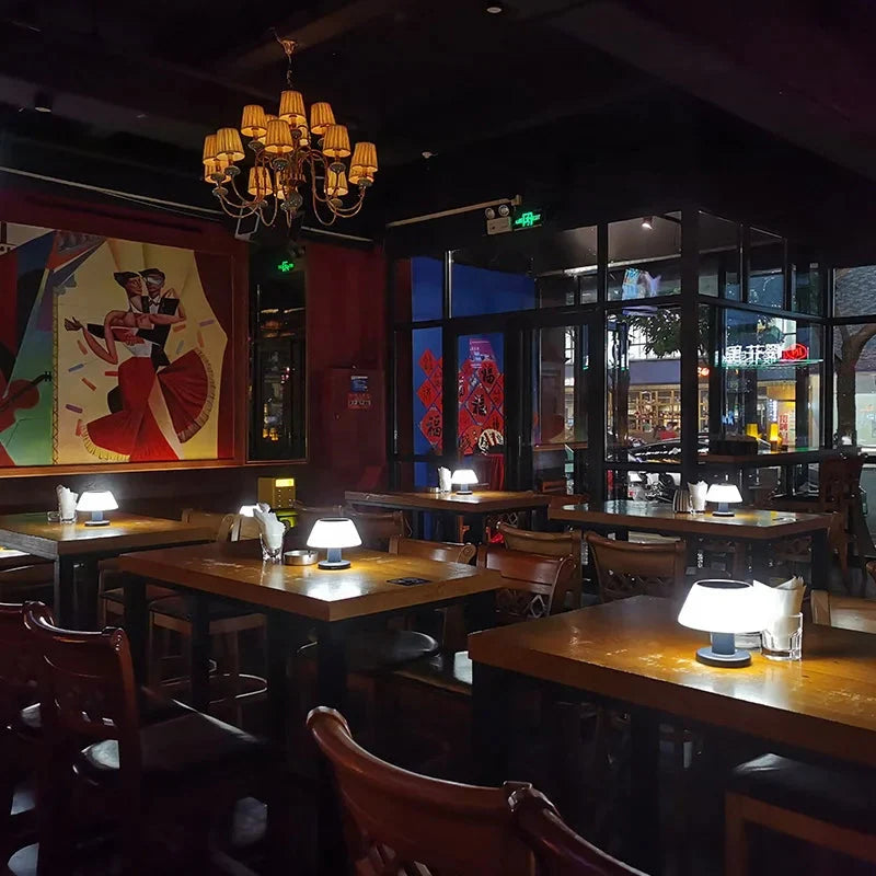 Modern Solar Powered Indoor Outdoor Lamp