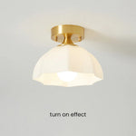 Minimalist White Dome Ceiling Light