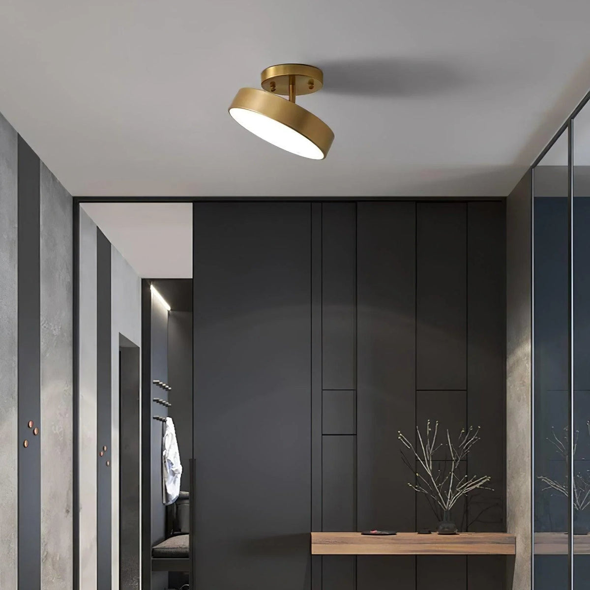 Axiom Rotating Ceiling Light
