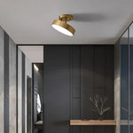 Axiom Rotating Ceiling Light