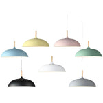 Modern Simple Dome Pendant Light
