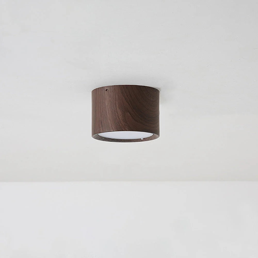 Macaroon Style Led Ceiling Light