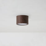 Macaroon Style Led Ceiling Light