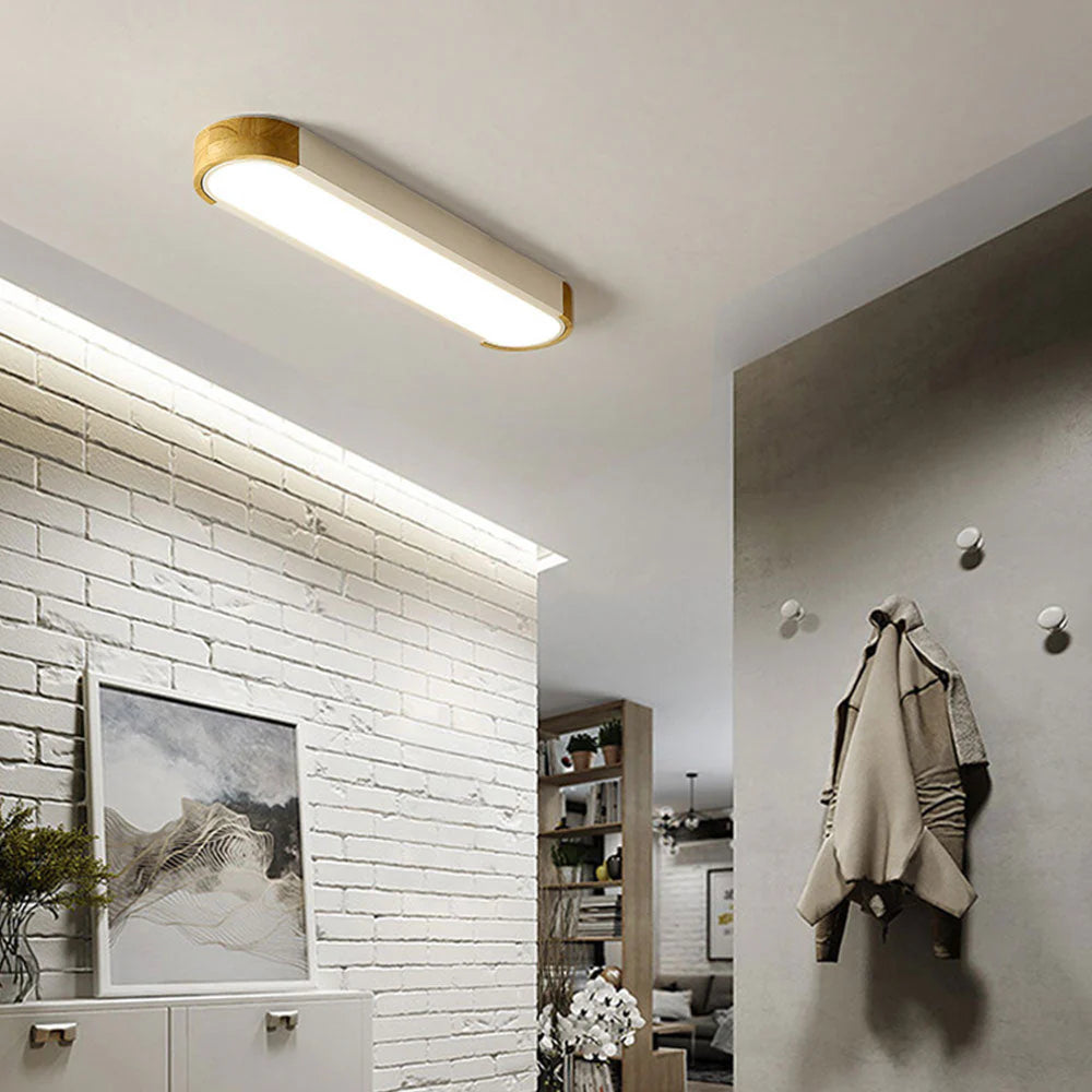 Modern Zenith Ceiling Light