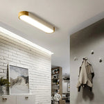 Modern Zenith Ceiling Light