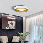Lumen Arc Ceiling Lamp