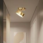 Axiom Rotating Ceiling Light