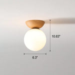 Entryway Foyer Light Wooden Style Corridor Ceiling Light