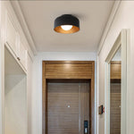 Modern Bowl Metal Flush Ceiling Light