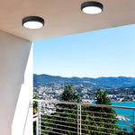 Outdoor Waterproof Ceiling Lamp