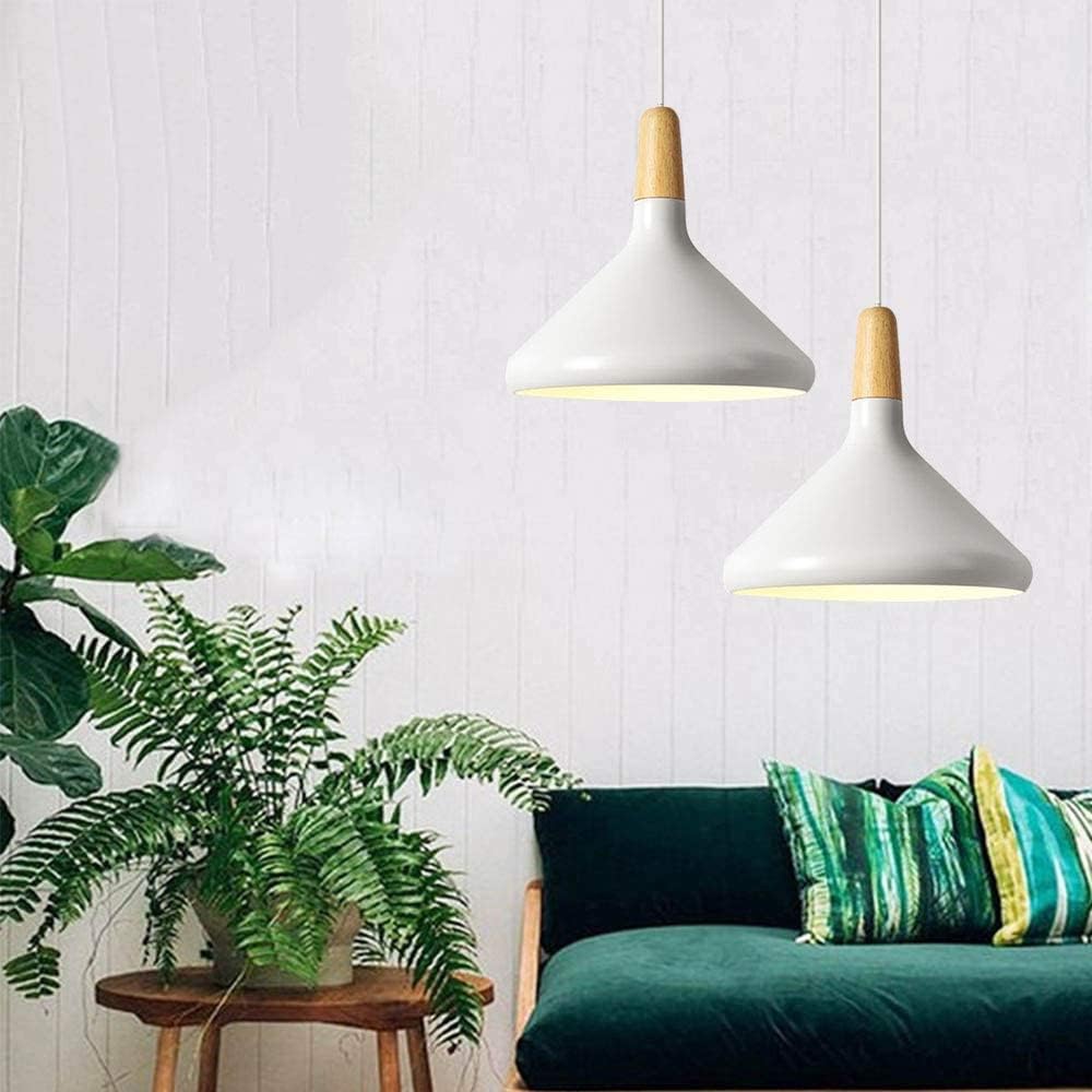 Vivid Cone Modern Pendant Light