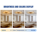 8 Light Metro Glow Ceiling Ligh