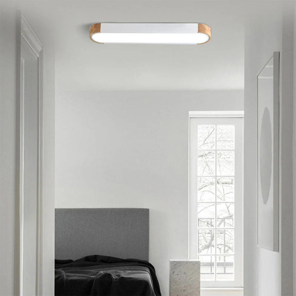 Modern Zenith Ceiling Light