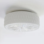 Arden Ceiling Light