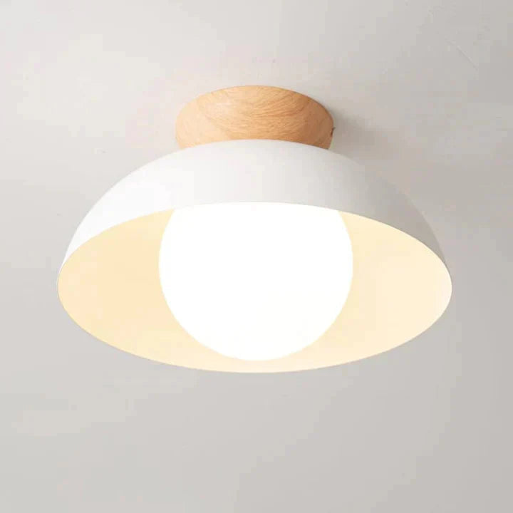 Industrial Chic Metal Ceiling Light