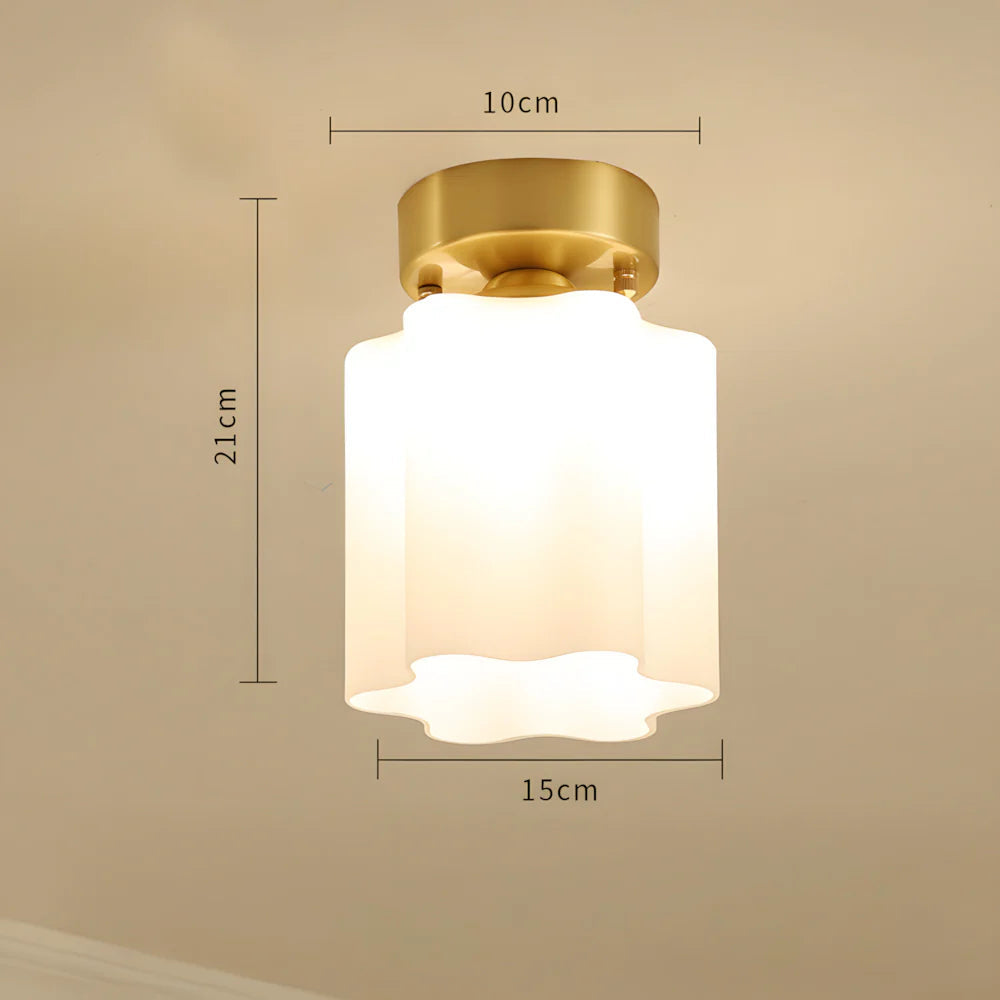 American Style Led Minimalist Modern Entry Ceiling Light