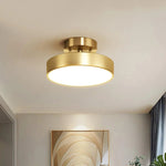 Axiom Rotating Ceiling Light