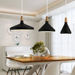 Vivid Cone Modern Pendant Light