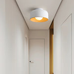 Terraglow Ceiling Light