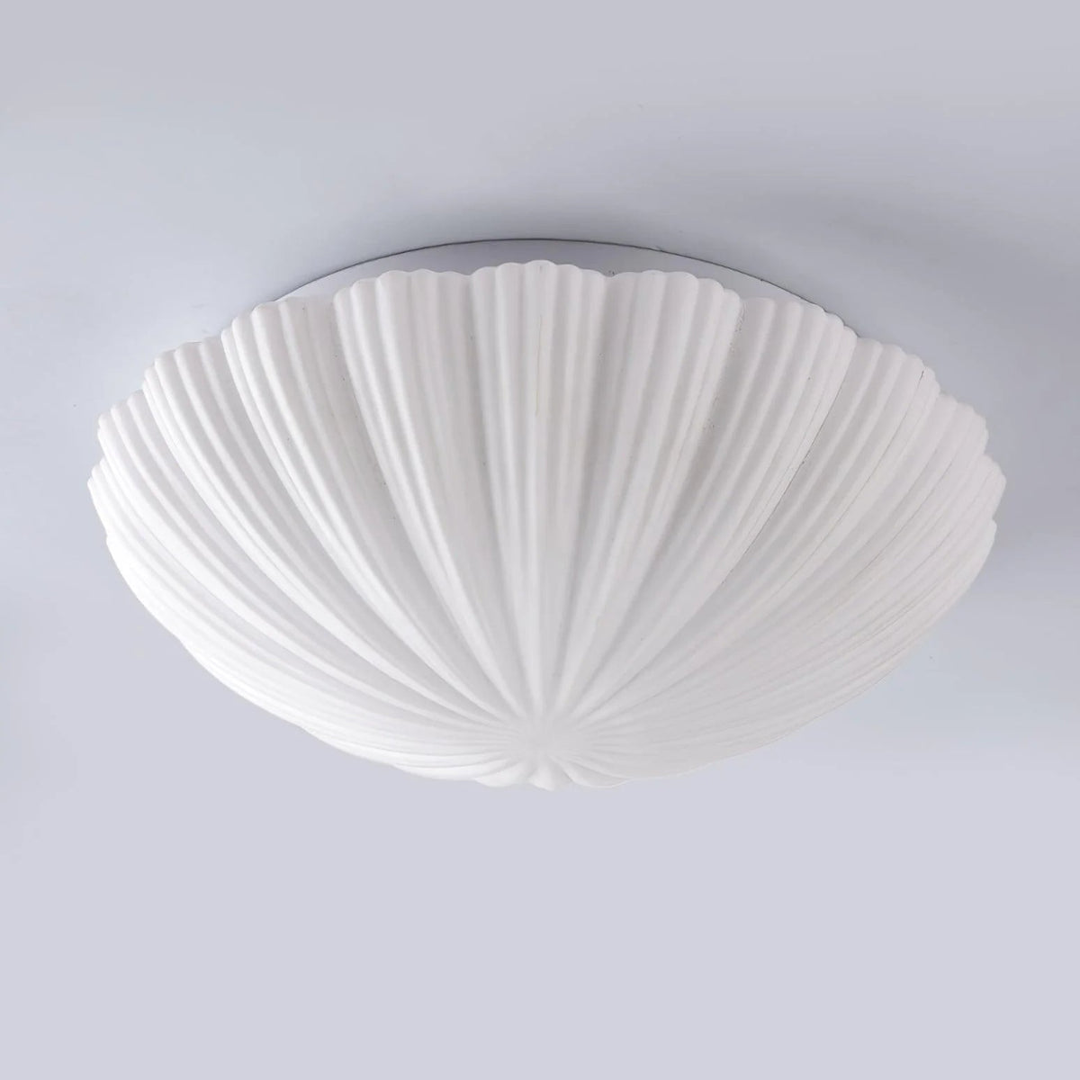 Aurora Shell Ceiling Light