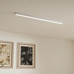 Modern Minimalist Ceiling Lamp