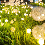 Dandelion Solar Pathway Lights Set of 10 for Modern Gardens